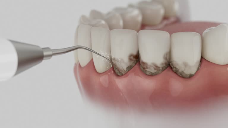 Reliable Dental contractor in Pimmit Hills, VA by Dentist Open Now